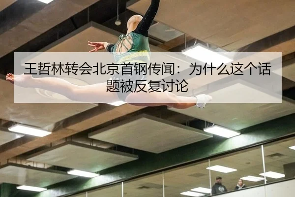 wang-zhe-lin-zhuan-hui-bei-jing-shou-gang-chuan-wen-wei-shen-me-zhe-ge-hua-ti-bei-fan-fu-tao-lun-2-210.jpg